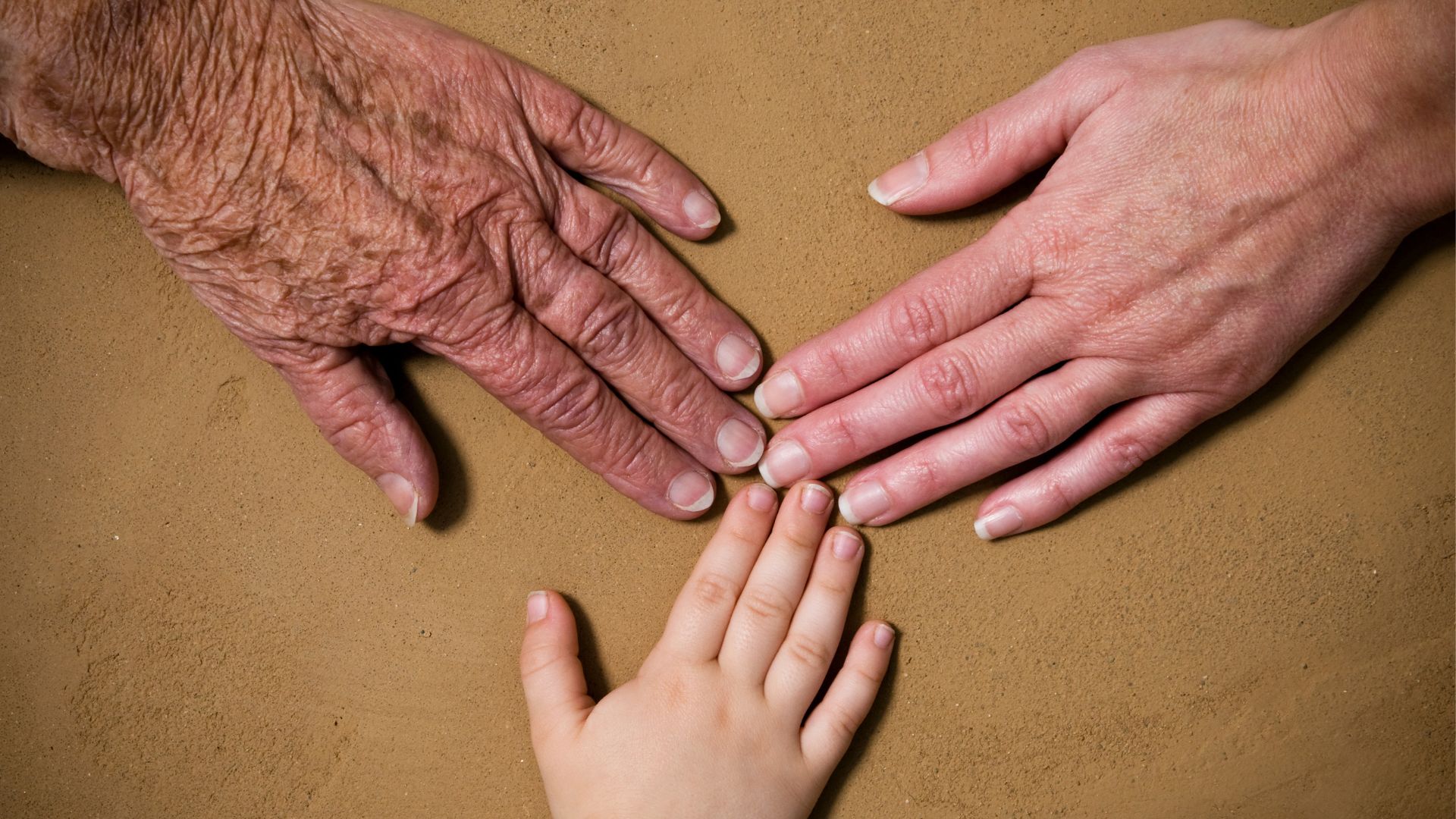Hands belonging to three generations of a family